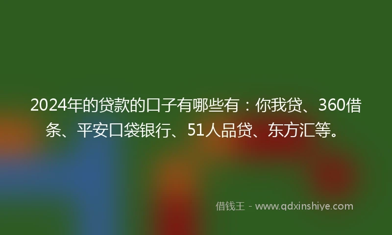 2024年的贷款的口子有哪些有：你我贷、360借条、平安口袋银行、51人品贷、东方汇等。
