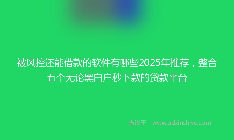 被风控还能借款的软件有哪些2025年推荐，整合五个无论黑白户秒下款的贷款平台