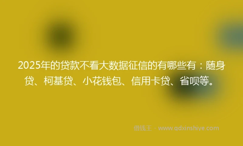 2025年的贷款不看大数据征信的有哪些有：随身贷、柯基贷、小花钱包、信用卡贷、省呗等。