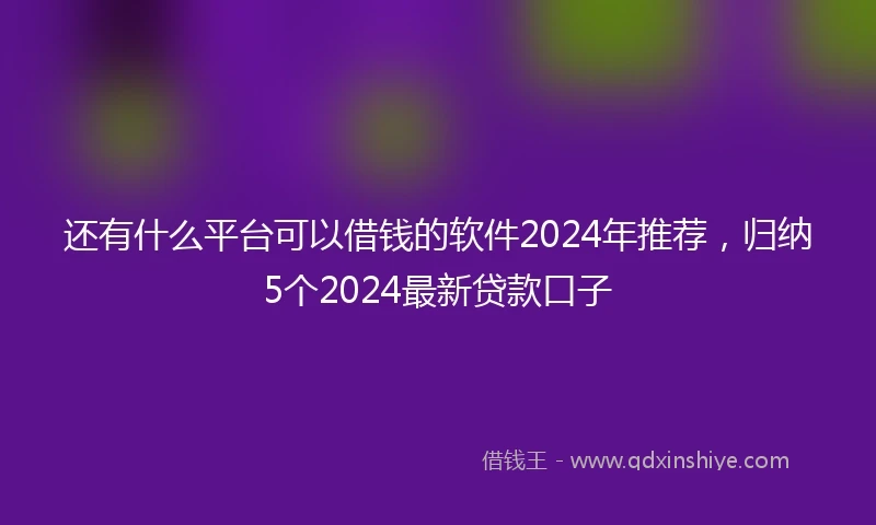 还有什么平台可以借钱的软件2024年推荐，归纳5个2024最新贷款口子