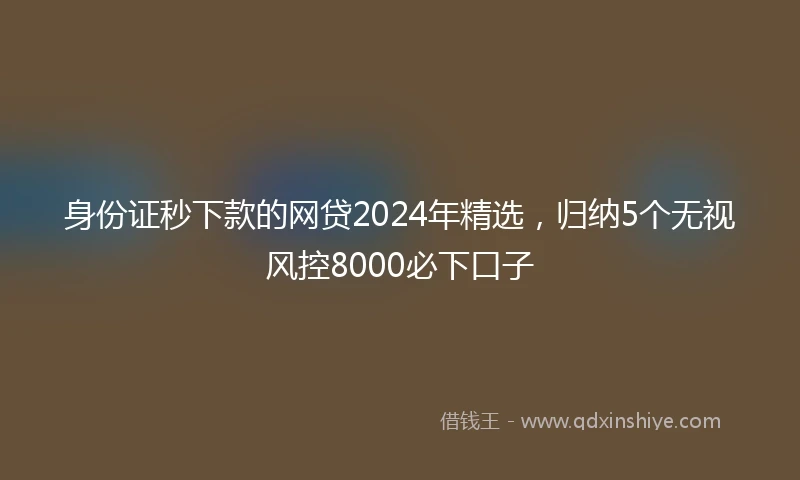 身份证秒下款的网贷2024年精选，归纳5个无视风控8000必下口子