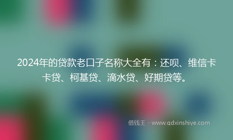 2024年的贷款老口子名称大全有：还呗、维信卡卡贷、柯基贷、滴水贷、好期贷等。