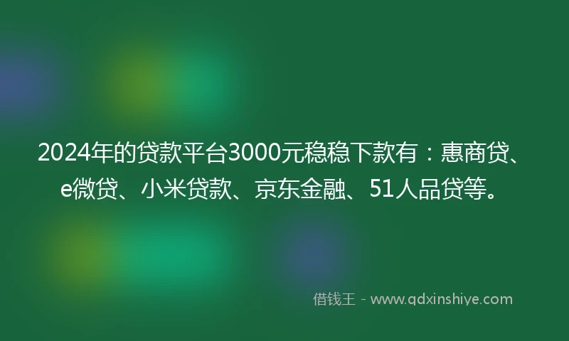 2024年的贷款平台3000元稳稳下款有：惠商贷、e微贷、小米贷款、京东金融、51人品贷等。