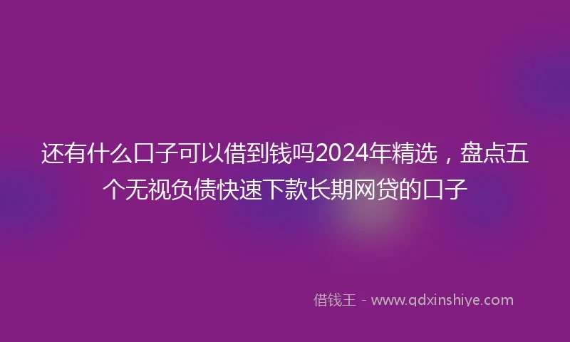 还有什么口子可以借到钱吗2024年精选，盘点五个无视负债快速下款长期网贷的口子