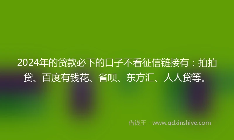 2024年的贷款必下的口子不看征信链接有：拍拍贷、百度有钱花、省呗、东方汇、人人贷等。
