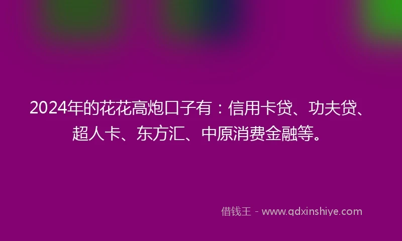 2024年的花花高炮口子有：信用卡贷、功夫贷、超人卡、东方汇、中原消费金融等。