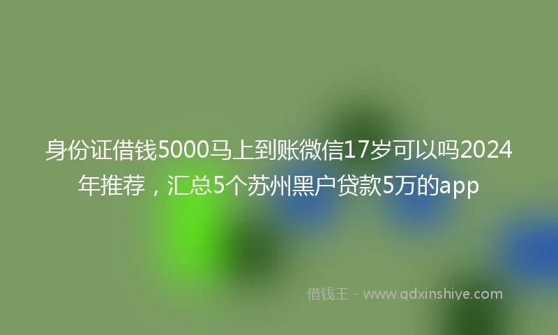 身份证借钱5000马上到账微信17岁可以吗2024年推荐，汇总5个苏州黑户贷款5万的app