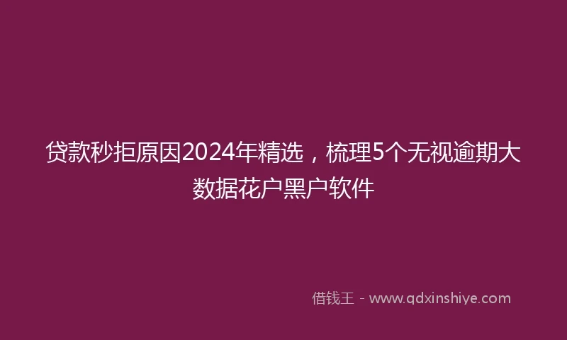 贷款秒拒原因2024年精选，梳理5个无视逾期大数据花户黑户软件
