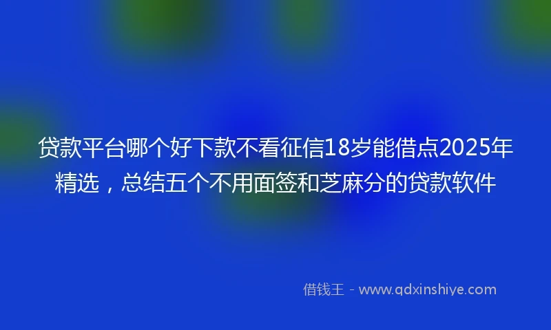 贷款平台哪个好下款不看征信18岁能借点2025年精选，总结五个不用面签和芝麻分的贷款软件