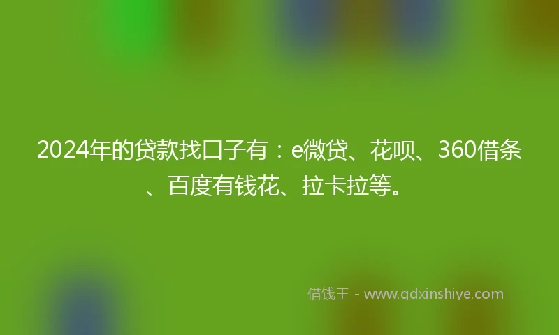 2024年的贷款找口子有：e微贷、花呗、360借条、百度有钱花、拉卡拉等。
