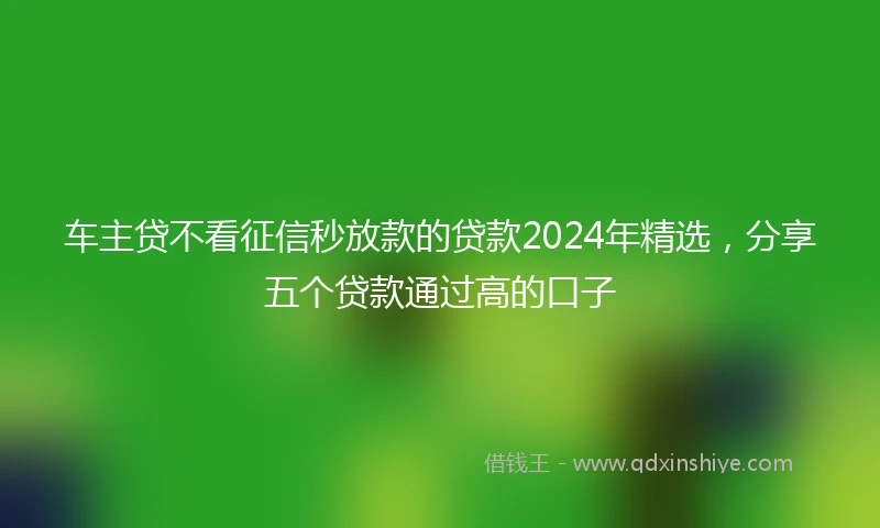 车主贷不看征信秒放款的贷款2024年精选，分享五个贷款通过高的口子