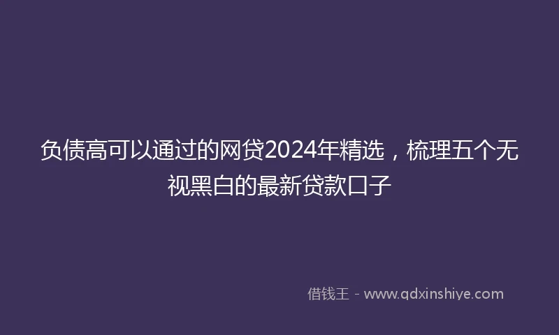 负债高可以通过的网贷2024年精选，梳理五个无视黑白的最新贷款口子