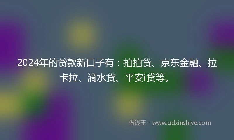 2024年的贷款新口子有：拍拍贷、京东金融、拉卡拉、滴水贷、平安i贷等。