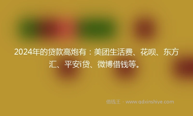 2024年的贷款高炮有：美团生活费、花呗、东方汇、平安i贷、微博借钱等。