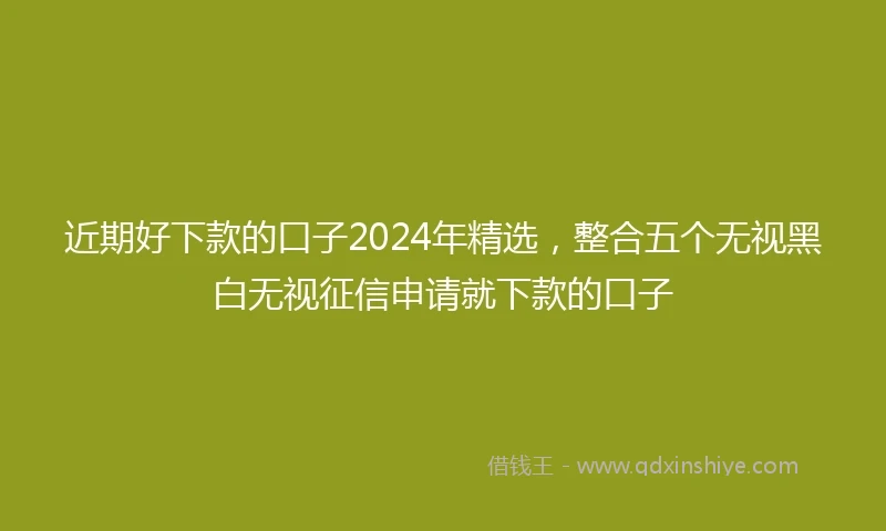 近期好下款的口子2024年精选，整合五个无视黑白无视征信申请就下款的口子