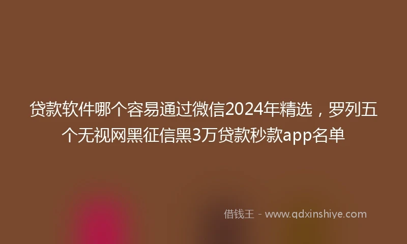 贷款软件哪个容易通过微信2024年精选，罗列五个无视网黑征信黑3万贷款秒款app名单
