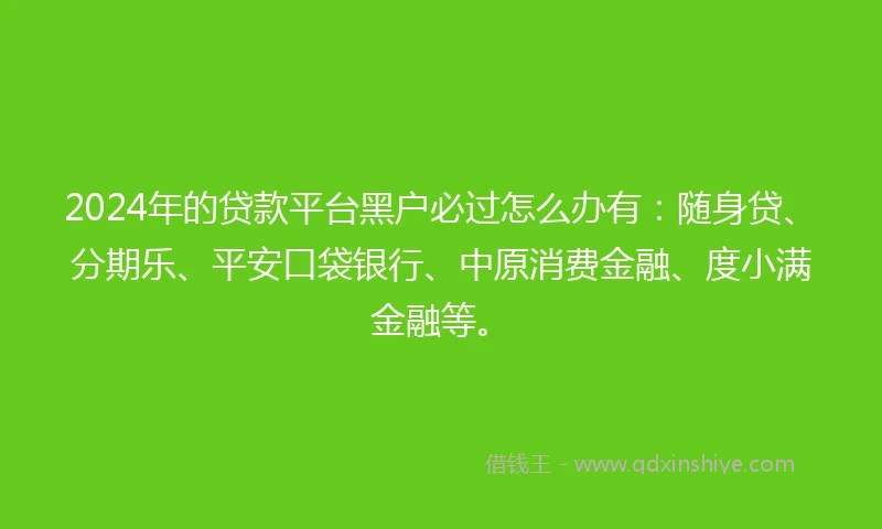 2024年的贷款平台黑户必过怎么办有：随身贷、分期乐、平安口袋银行、中原消费金融、度小满金融等。