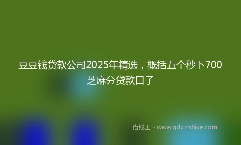 豆豆钱贷款公司2025年精选，概括五个秒下700芝麻分贷款口子