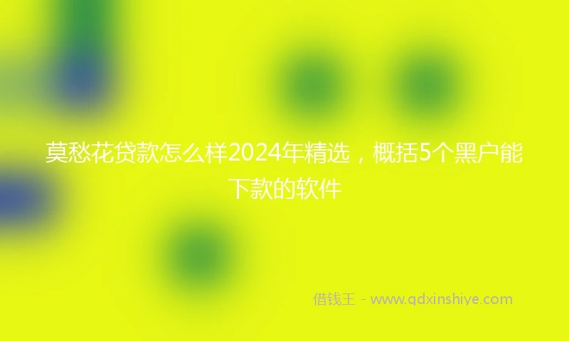 莫愁花贷款怎么样2024年精选，概括5个黑户能下款的软件