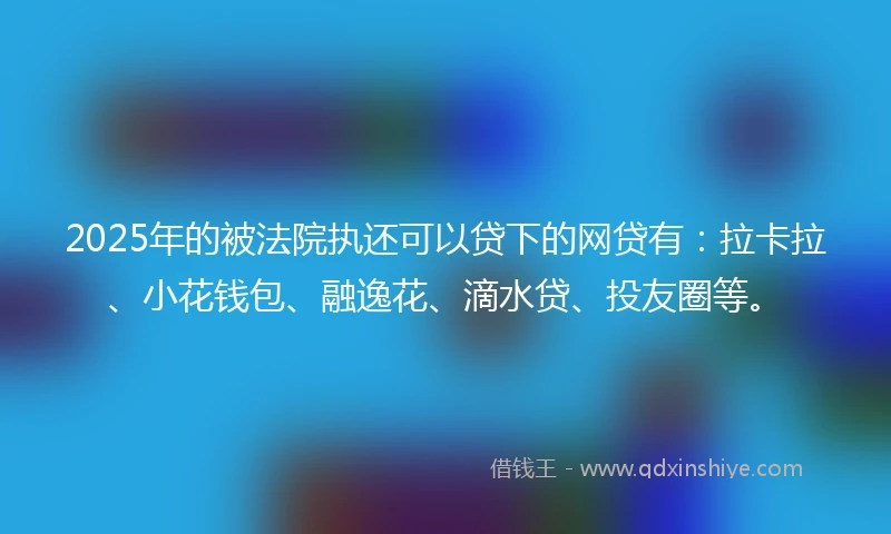 2025年的被法院执还可以贷下的网贷有：拉卡拉、小花钱包、融逸花、滴水贷、投友圈等。