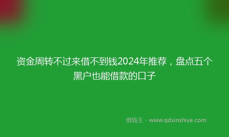 资金周转不过来借不到钱2024年推荐，盘点五个黑户也能借款的口子