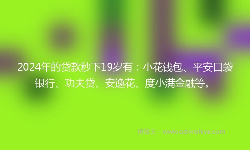 2024年的贷款秒下19岁有：小花钱包、平安口袋银行、功夫贷、安逸花、度小满金融等。