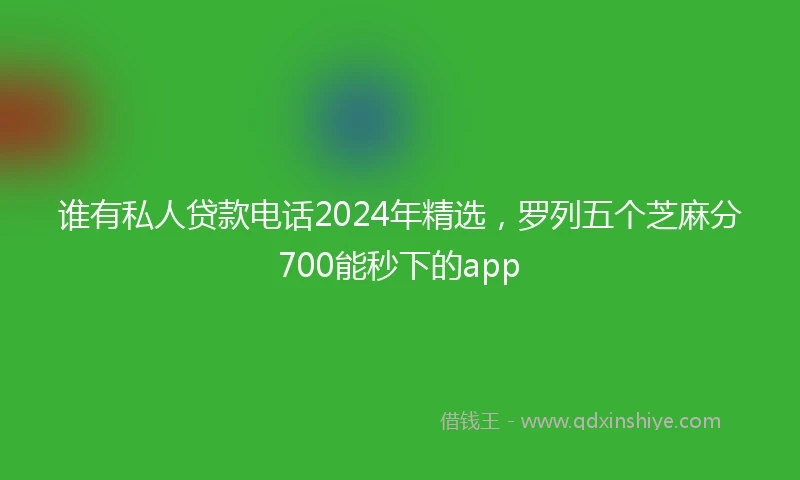 谁有私人贷款电话2024年精选，罗列五个芝麻分700能秒下的app