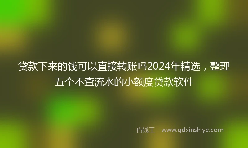 贷款下来的钱可以直接转账吗2024年精选，整理五个不查流水的小额度贷款软件
