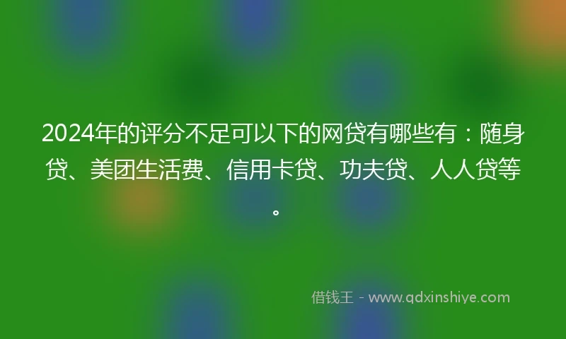 2024年的评分不足可以下的网贷有哪些有：随身贷、美团生活费、信用卡贷、功夫贷、人人贷等。