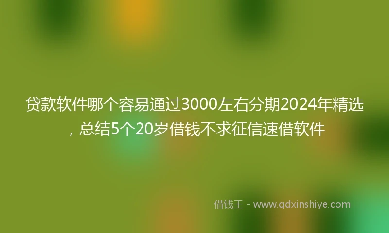 贷款软件哪个容易通过3000左右分期2024年精选，总结5个20岁借钱不求征信速借软件