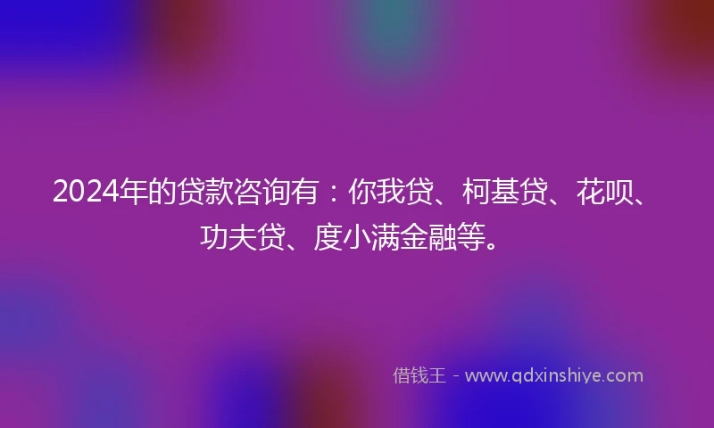 2024年的贷款咨询有：你我贷、柯基贷、花呗、功夫贷、度小满金融等。
