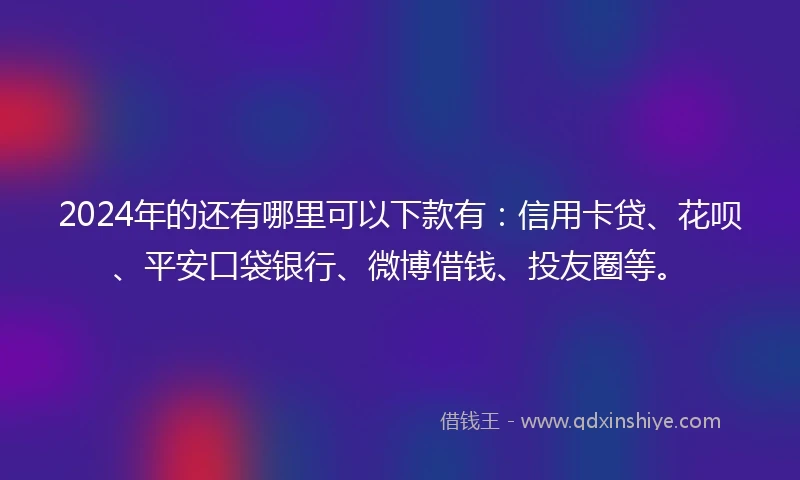 2024年的还有哪里可以下款有：信用卡贷、花呗、平安口袋银行、微博借钱、投友圈等。