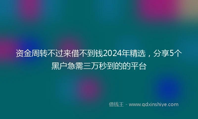 资金周转不过来借不到钱2024年精选，分享5个黑户急需三万秒到的的平台