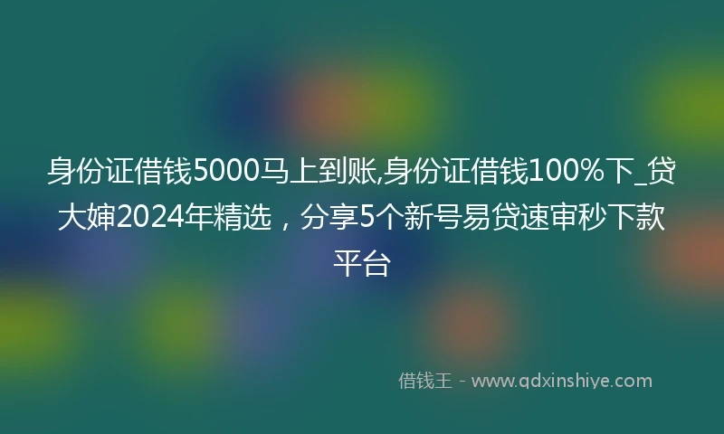 身份证借钱5000马上到账,身份证借钱100%下_贷大婶2024年精选，分享5个新号易贷速审秒下款平台