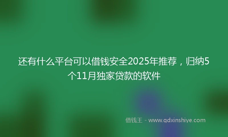还有什么平台可以借钱安全2025年推荐，归纳5个11月独家贷款的软件