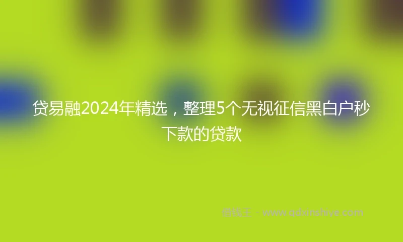 贷易融2024年精选，整理5个无视征信黑白户秒下款的贷款