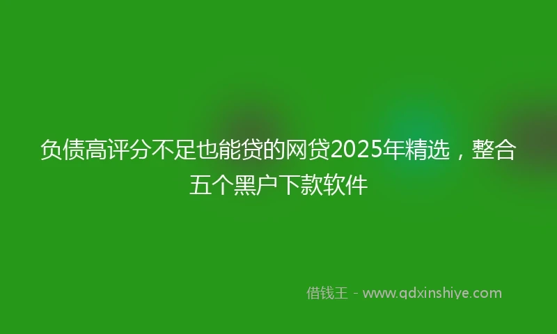 负债高评分不足也能贷的网贷2025年精选，整合五个黑户下款软件