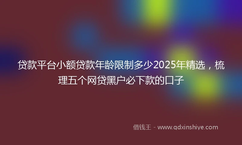 贷款平台小额贷款年龄限制多少2025年精选，梳理五个网贷黑户必下款的口子