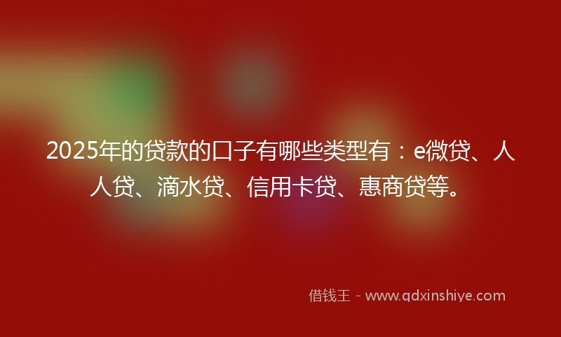 2025年的贷款的口子有哪些类型有：e微贷、人人贷、滴水贷、信用卡贷、惠商贷等。