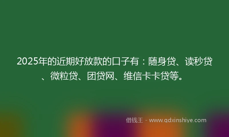 2025年的近期好放款的口子有：随身贷、读秒贷、微粒贷、团贷网、维信卡卡贷等。