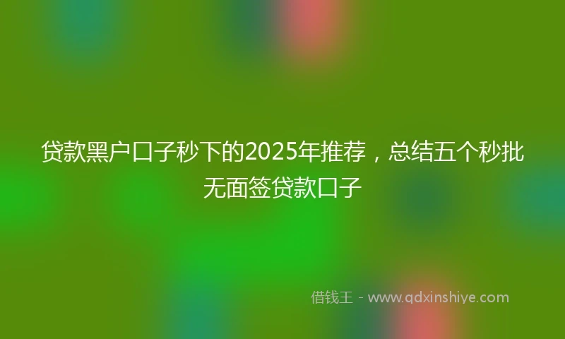 贷款黑户口子秒下的2025年推荐，总结五个秒批无面签贷款口子