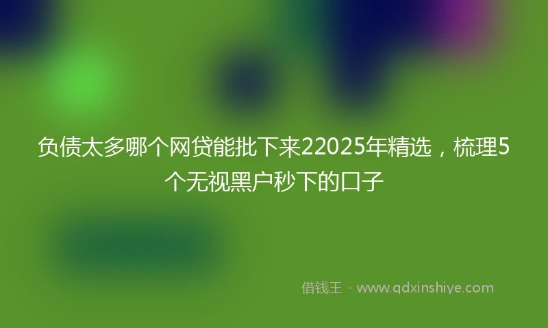 负债太多哪个网贷能批下来22025年精选，梳理5个无视黑户秒下的口子