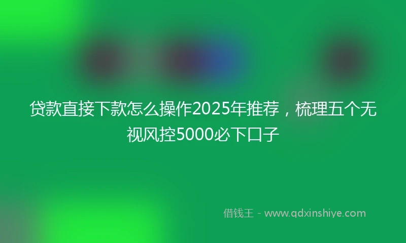 贷款直接下款怎么操作2025年推荐,梳理五个无视风控5000必下口子