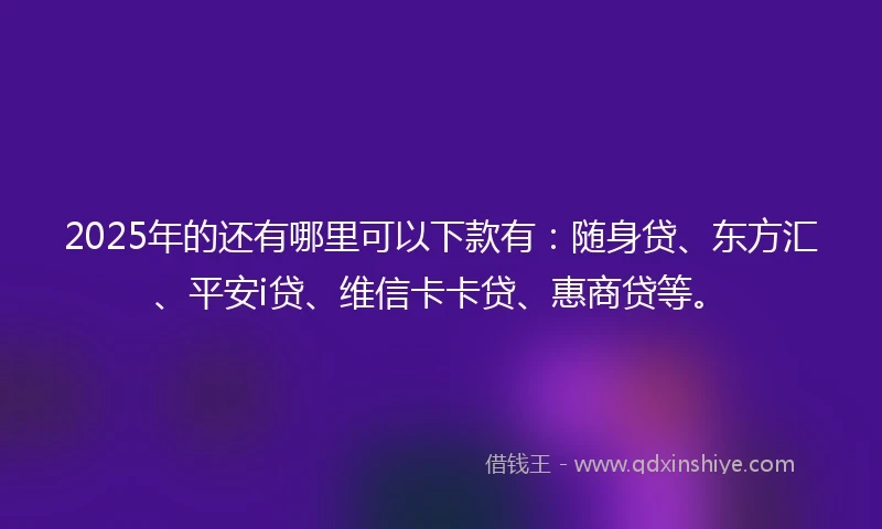 2025年的还有哪里可以下款有：随身贷、东方汇、平安i贷、维信卡卡贷、惠商贷等。