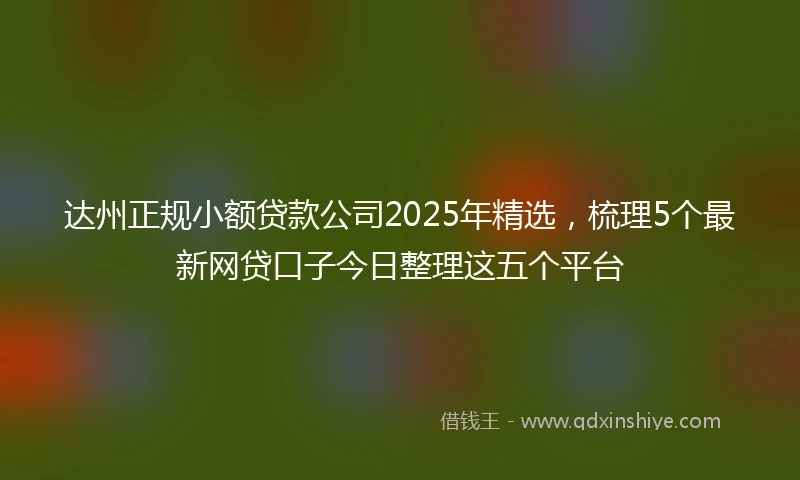达州正规小额贷款公司2025年精选，梳理5个最新网贷口子今日整理这五个平台