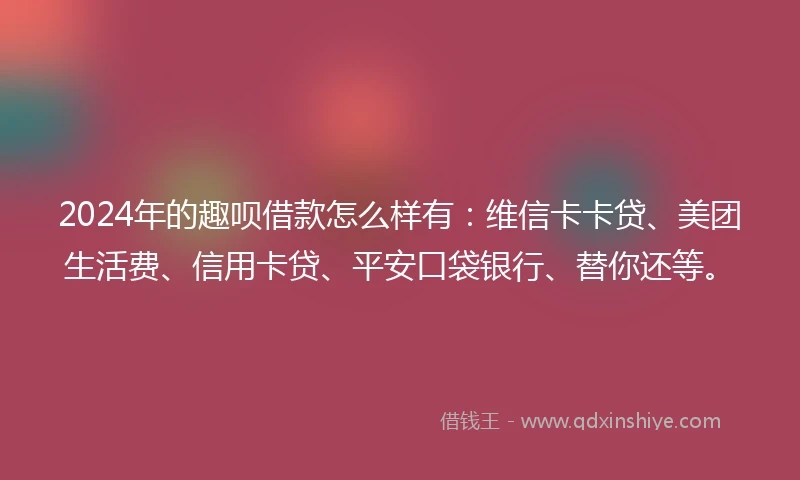 2024年的趣呗借款怎么样有：维信卡卡贷、美团生活费、信用卡贷、平安口袋银行、替你还等。
