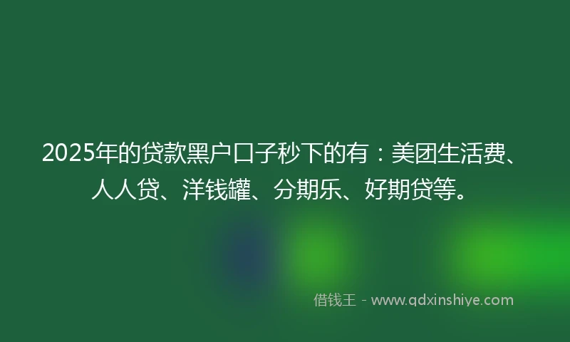 2025年的贷款黑户口子秒下的有：美团生活费、人人贷、洋钱罐、分期乐、好期贷等。