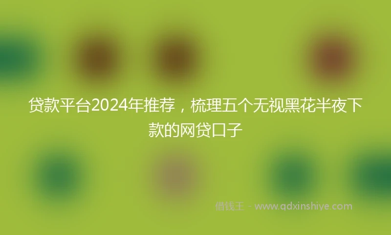 贷款平台2024年推荐,梳理五个无视黑花半夜下款的网贷口子