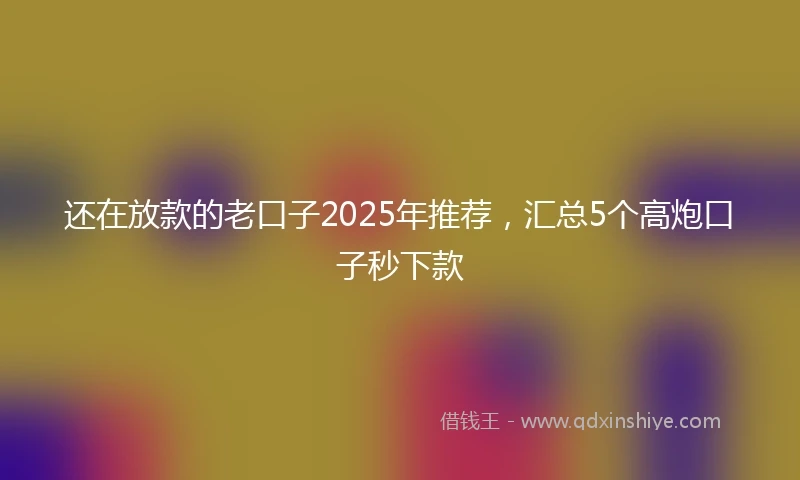 还在放款的老口子2025年推荐，汇总5个高炮口子秒下款