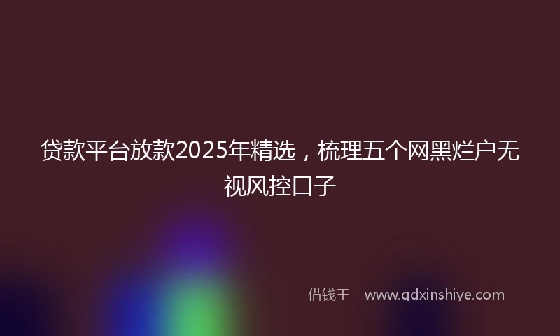 贷款平台放款2025年精选，梳理五个网黑烂户无视风控口子